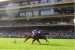 Daryz (Mickaël Barzalona) holds on well to beat the gallant favourite Minnie Hauk (Christophe Soumillon) in a thrilling finish (